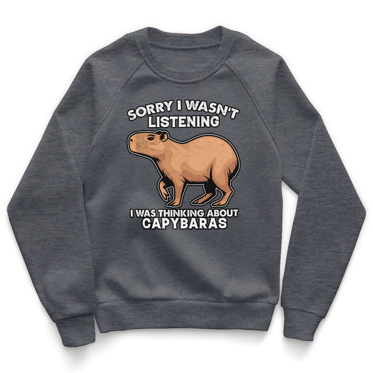 I Was Thinking About Capybaras Kids Sweatshirt