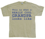 Cool Grandpa T-Shirt