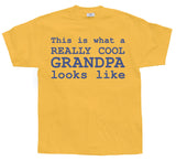 Cool Grandpa T-Shirt