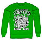 TMNT Distressed Since 1984 Sweatshirt