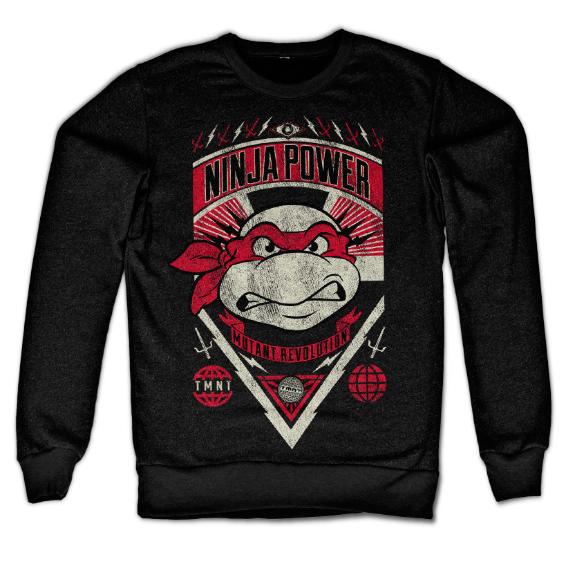 TMNT Ninja Power Sweatshirt